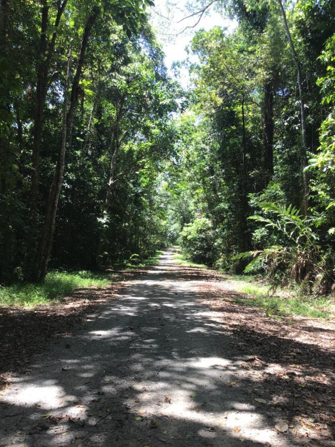 DiwanForest Views Daintree别墅 外观 照片